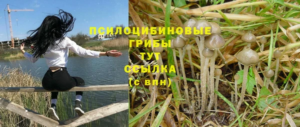 apvp Магадан