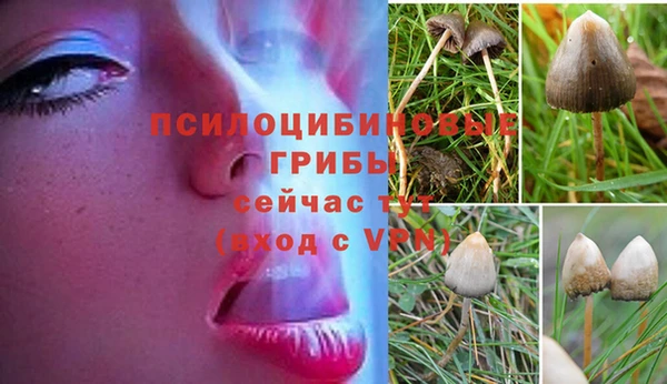 каннабис Мегион