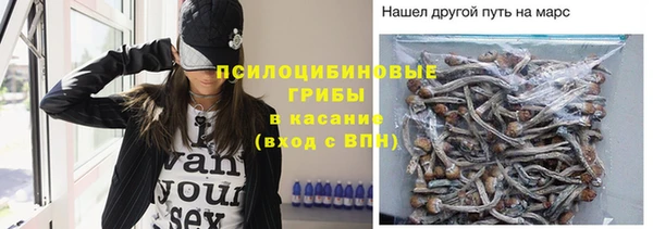 твердый Медвежьегорск